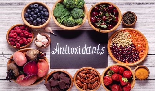 Dernières solutions de l'entreprise Quel est le plus puissant antioxydant?