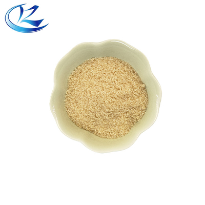 Good price OEM Food Emulsifiers Soybean Lecithin Powder Cas 8002-43-5 online