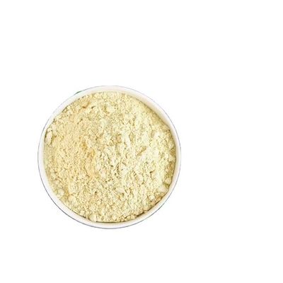 Good price Hydrolyzed Pea Protein Powder Pure White Vegetable Protein for Food Applications online