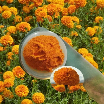 Harga yang bagus ODM Lutein murni bubuk grosir untuk industri makanan Cas 127-40-2 Cas 547-17-1 on line
