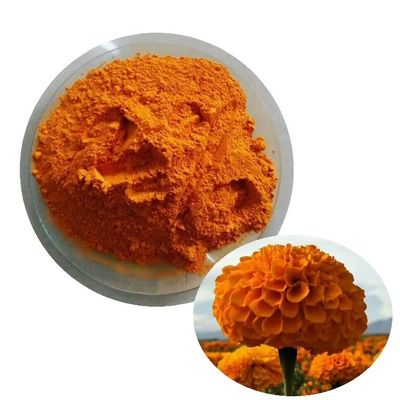 Bom preço Luteína Natural em Pó de Qualidade Alimentar do Extrato de Flor de Calêndula para Ingredientes de Suplementos | Opções de Embalagem a Granel e Tambor Disponíveis on-line
