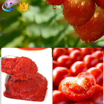 Хорошая цена Ренце Ароматизатор пищевых продуктов Торт Эссенция Консервированный Томатный Соус Паста онлайн