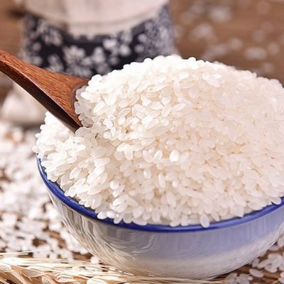 Un bon prix. Poudre de protéines de riz de qualité alimentaire Protéines végétales de haute qualité pour l'alimentation et la nutrition EINECS 232-554-6 Étiquette privée disponible en ligne